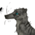 :icondearblondi: