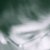 :icondearbrother: