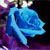 :icondeardiaryx: