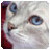 :icondearmika: