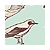 :icondearuntildeath: