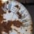 :icondeath-by-cookie: