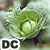 :icondeath-cabbage: