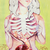 :icondeath-fish: