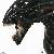 :icondeath-korps-militant: