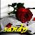 :icondeath-rose-1023: