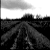 :icondeath-skull: