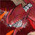 :icondeathacard6116: