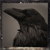 :icondeathbirdmodel: