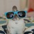 :icondeathblossom9:
