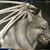 :icondeathdog394: