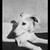 :icondeathfang6: