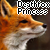 :icondeathfoxprincess: