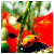 :icondeathlybutterfly: