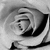 :icondeathlydreams: