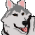 :icondeathnote4ever: