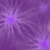 :icondeathofcaelum: