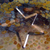 :icondeathphantom: