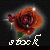 :icondeaths-last-stock: