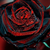 deathsbloodyrose :icondeathsbloodyrose:
