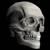:icondeathwish-manga: