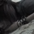 :icondeathxcor3: