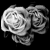 :icondeathz-angel: