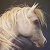 :icondeb07: