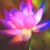 :icondebat-interieur:
