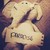 :icondebbie456:
