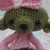 :icondebbittybears: