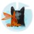 debellischew :icondebellischew:
