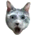 :icondebolte: