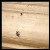 :icondebono-photoworks: