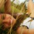 :icondeborahwahr: