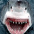 :icondebrabush331: