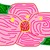 :icondebradaugherty: