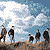 dec-lover :icondec-lover: