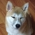 :icondecepticonsindigo:
