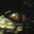 :icondeceptive1: