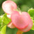 :icondeci1212: