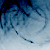 :icondeciphor: