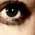 :icondecorapolus: