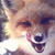 :icondedeye1:
