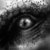 :icondedoubleyou1: