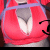 :icondedphrogsangel: