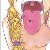 :icondedsecretary: