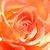 :icondee21416: