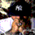 :icondeeblock1833:
