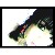 :icondeedee09: